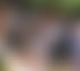 Uganda Detains 231 Foreign Nationals, Including 62 Nigerians, in Crackdown on Illegal Migration