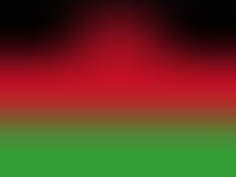 Malawi Begins Plans to Repatriate Citizens From South Africa Over Migrant Attacks