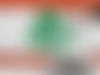 Lebanon Registers 151,985 Expatriates for 2026 Elections as Diaspora Voter Registration Closes