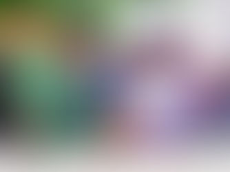 Lagos Reaffirms Tourism Commitment at High-Level UN Meeting Ahead of CAF 2025