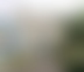 US Orders Partial Evacuation of Abuja Embassy, Flags 23 Nigerian States as High-Risk