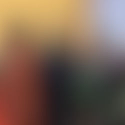 APC France Backs Zamfara Governor’s Defection, Says Move Strengthens Tinubu’s Influence