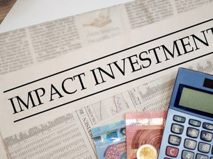 From Profit to Purpose: Social Impact Investments for Nigerians Overseas