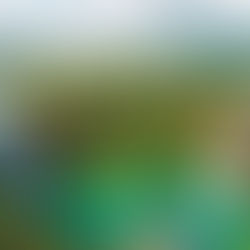 How Diaspora Tourism Boosts Local Economies