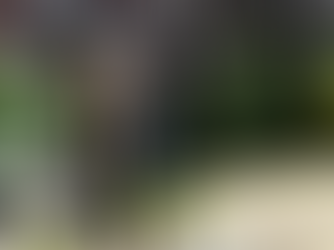 Nigerian Student Uche Okirie Stabbed to Death by Neighbour in UK