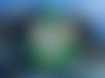 Nigeria’s Medical Tourism Bill Plunges by 96% — CBN