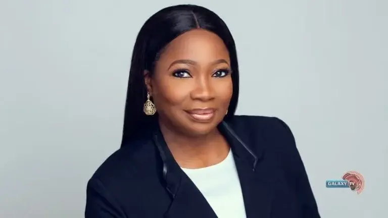 Dabiri-Erewa Urges Nigeria to Leverage Diaspora Expertise for Econopmic Growth