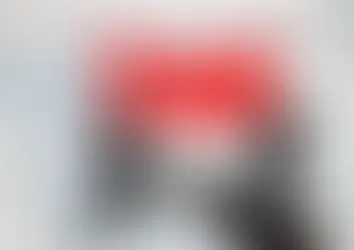 Business Tax Basics Immigrants Must Understand Before Starting Out