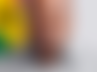 Foreign Remittances Hit $7.8bn in 2025 – Mahama