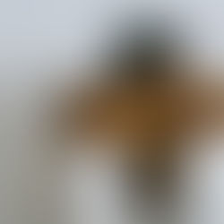 Loneliness in the Diaspora: The Silent Struggle Many Nigerians Face