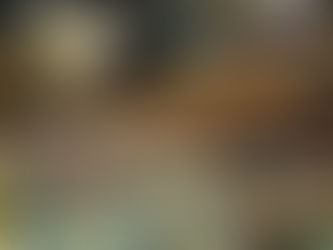 Ghana-Based Diaspora Community Hails Global Recognition of Slave Trade Atrocities