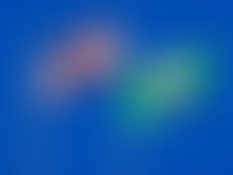 Yoruba Diaspora Group Applauds Nigeria–U.S. Security Partnership, Urges Sustained Action