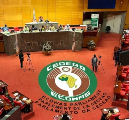 ECOWAS Parliament orders probe into xenophobic violence in South Africa