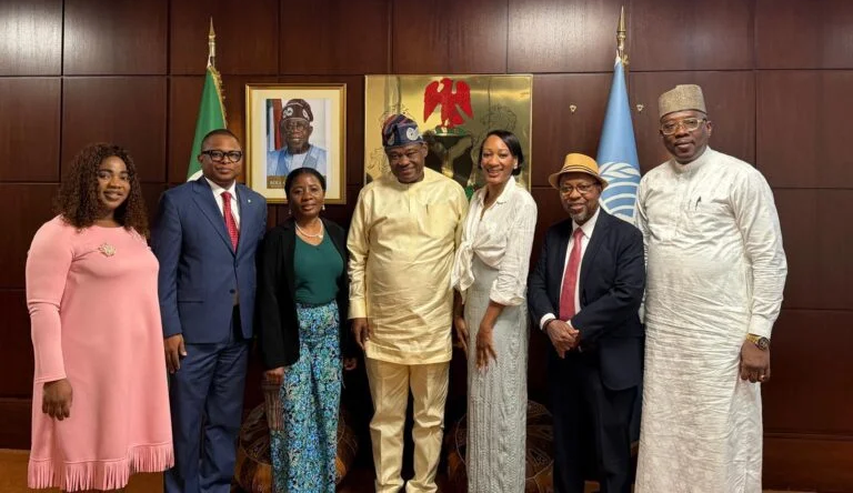 Nigerian Diaspora Group Commends Tinubu’s UN Envoy Appointment, Cites Early Diplomatic Gains