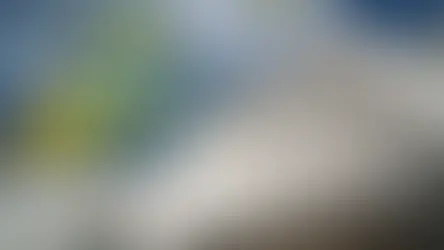 Ukraine Decorates Diaspora Leaders for Advancing Global Support and Sovereignty