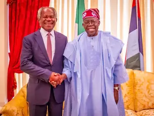 Tinubu Meets Diaspora Investor Bayo Ogunlesi in Lagos