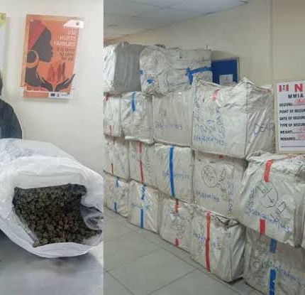 NDLEA Arrests Chinese Woman Over Alleged Drug Smuggling At Lagos Airport