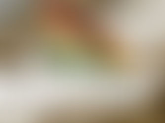 Ghana Sets New Citizenship Pathway for Historic Diasporans.