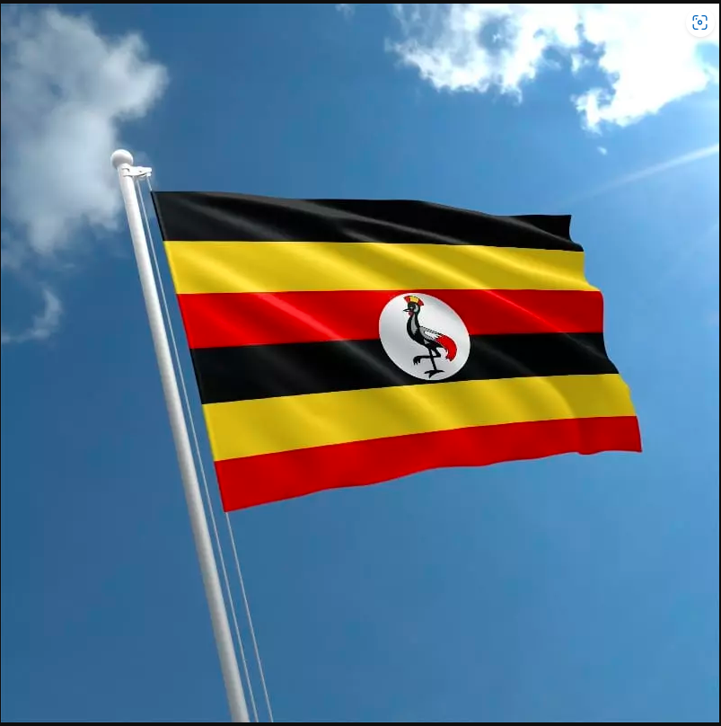 Uganda Engages Diaspora in Japan on Inclusive Development Policy Framework