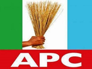 APC Leader Calls for Stronger Diaspora Role in Nigeria’s Governance