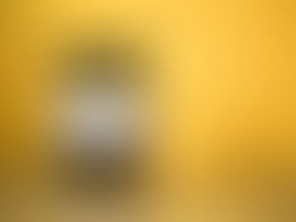 Emergency Funds: Why Diasporans Need Them