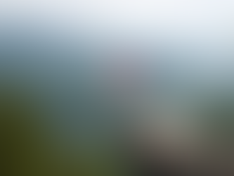 Why I Love North Carolina