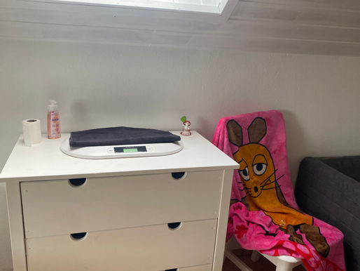 Hundehotel und Hundetagesstätte für kleine Hunde..., wir führen erfolgreich eine familiäre Hundepension! Dein Hund ist unser Gast...Hundecenter Flashmöpp, Inh. Nadja Pergher.