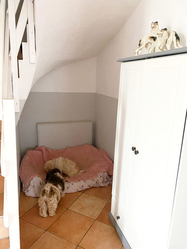 Wir führen eine vertrauensvolle, seriöse Hundepension in der Nähe von Bitburt/Trier/Luxemburg. Terminvereinbarungen unter +49 1525 3140966.