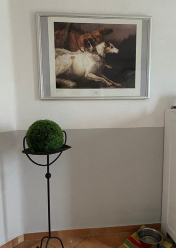 Dein Hund ist unser Gast! HUNDEPENSION & HUTA FLASHMÖPP in der Eifel/Rheinland-Pfalz. Hundebetreuung buchen..., stundenweise oder mit Übernachtung. www.hundecenter-flashmoepp.de