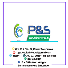 PYS GESTION INTEGRAL.png