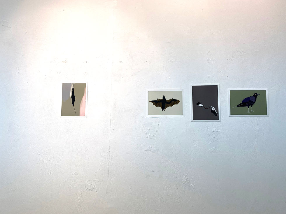 Exhibition view: “My home is my fortress”