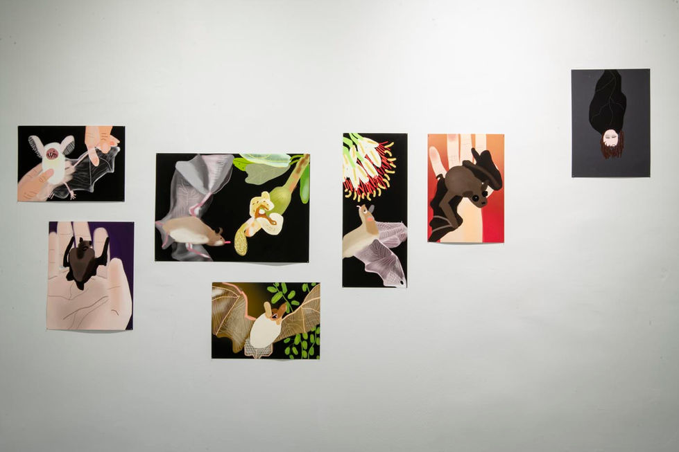 Bats wall