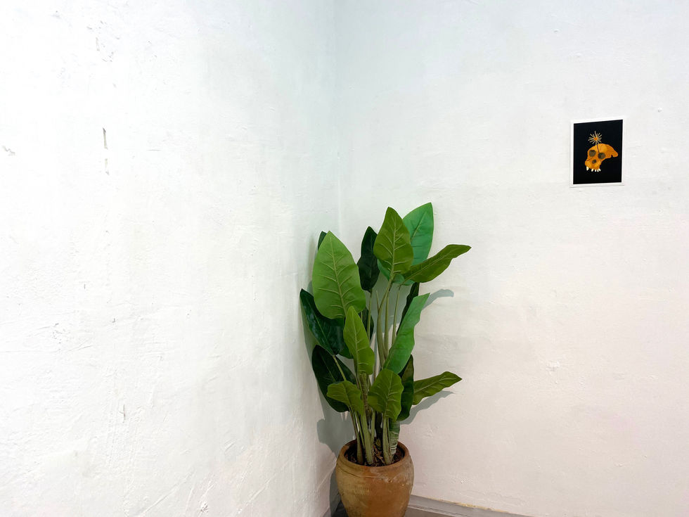 Exhibition view: “My home is my fortress”