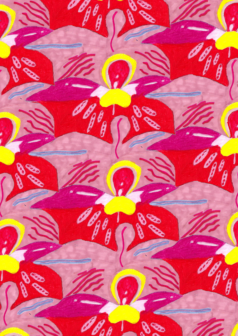 Orchids with yellow