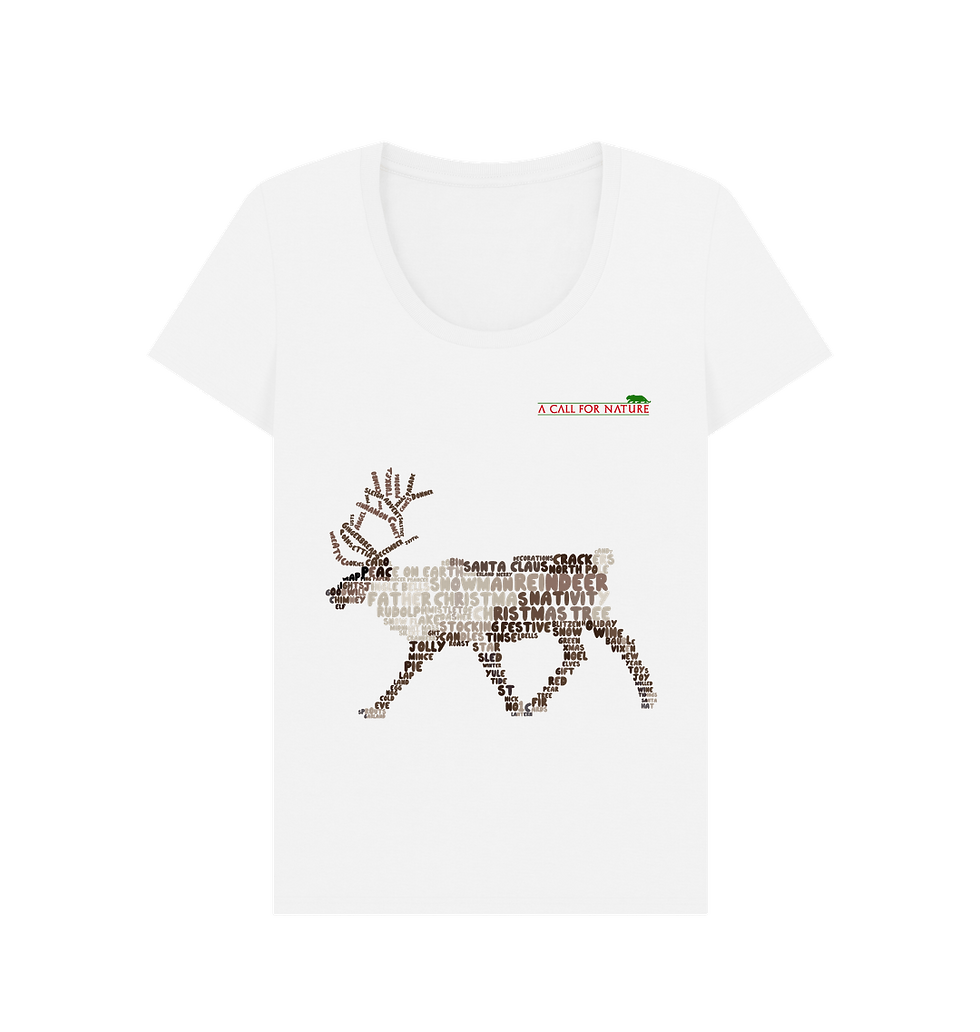 Reindeer (Christmas) Word Cloud Women's Scoop Neck Tshirt