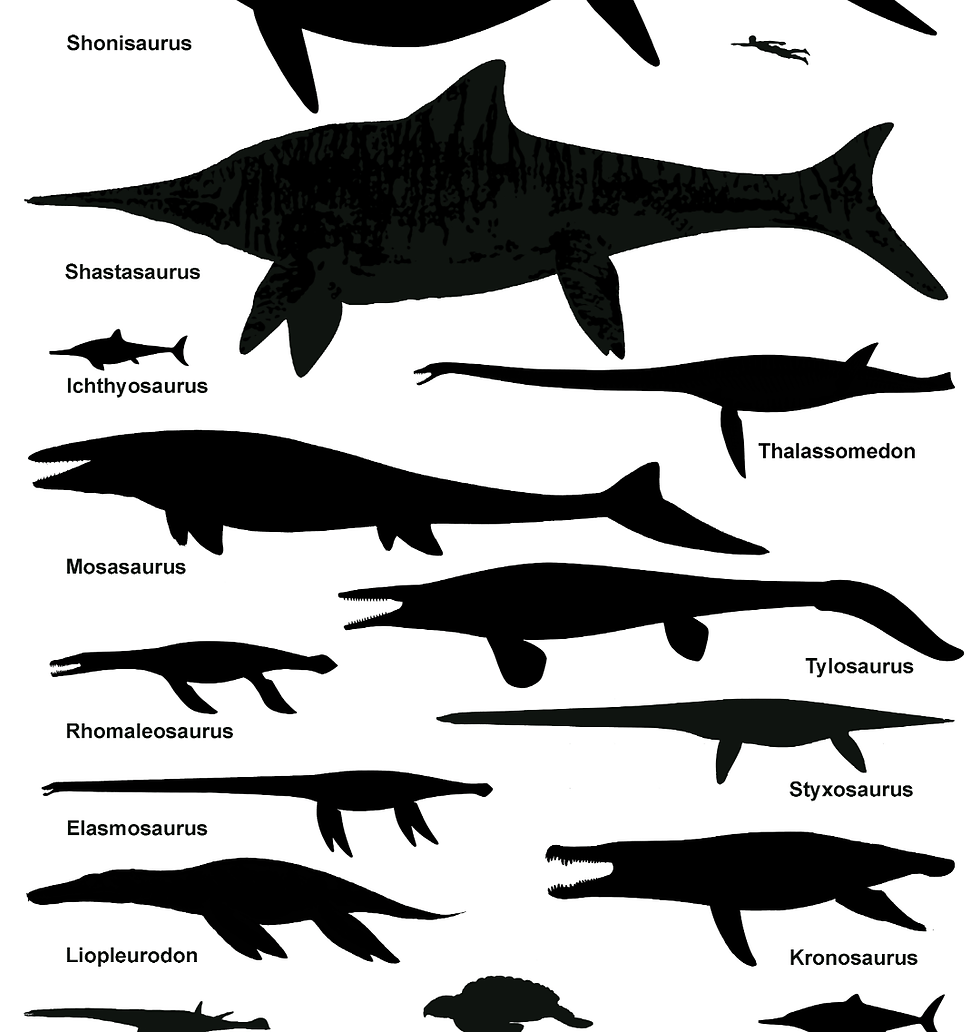 Thumbnail: Extinct Marine Reptile unisex Tshirt