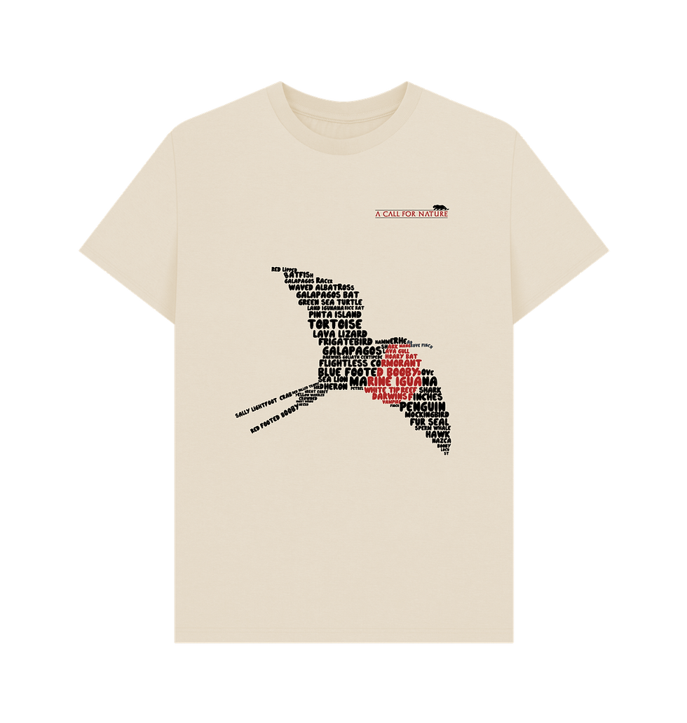 Thumbnail: Magnificent Frigate Bird  Word Cloud Men's Tshirt