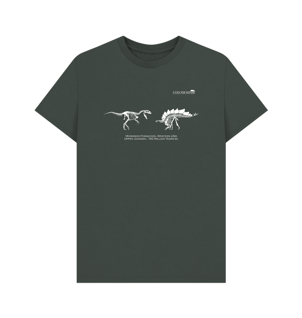 Thumbnail: Morrison Formation Tshirt