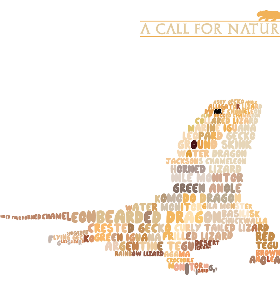 Thumbnail: Bearded Dragon Word Cloud Men's Tshirt