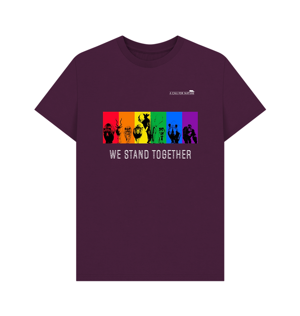 Thumbnail: PRIDE We Stand Together Tshirt