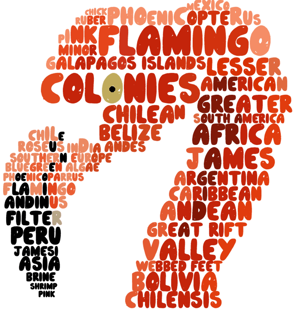 Thumbnail: Flamingo Word Cloud Men's Tshirt
