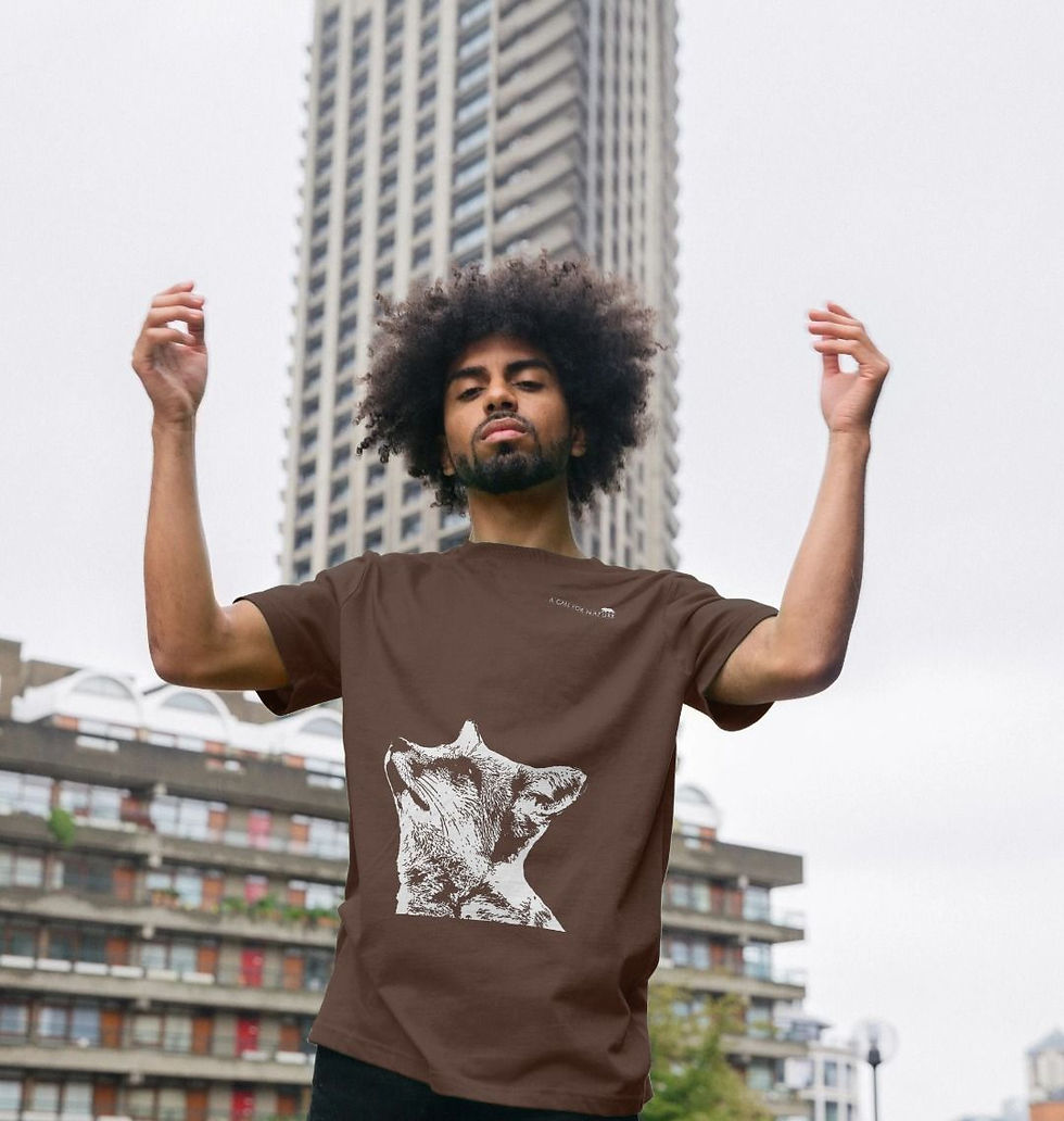Thumbnail: Red Fox Stargazer Men's Tshirt