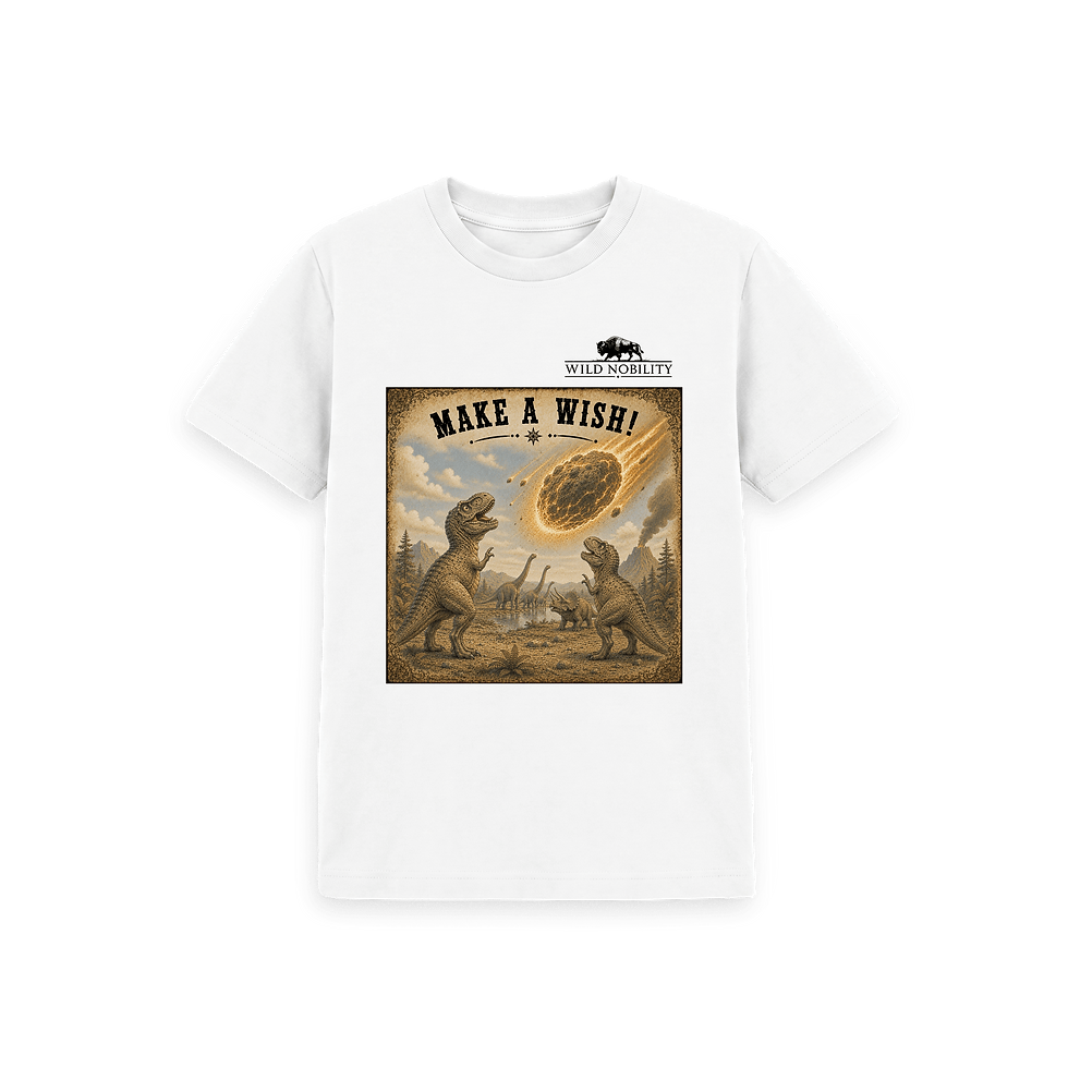 Thumbnail: Make A Wish Dinosaur Kids Tshirt