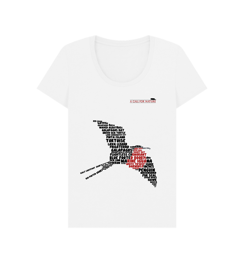 Thumbnail: Magnificent Frigate Bird Word Cloud Women's Scoop Neck Tshirt