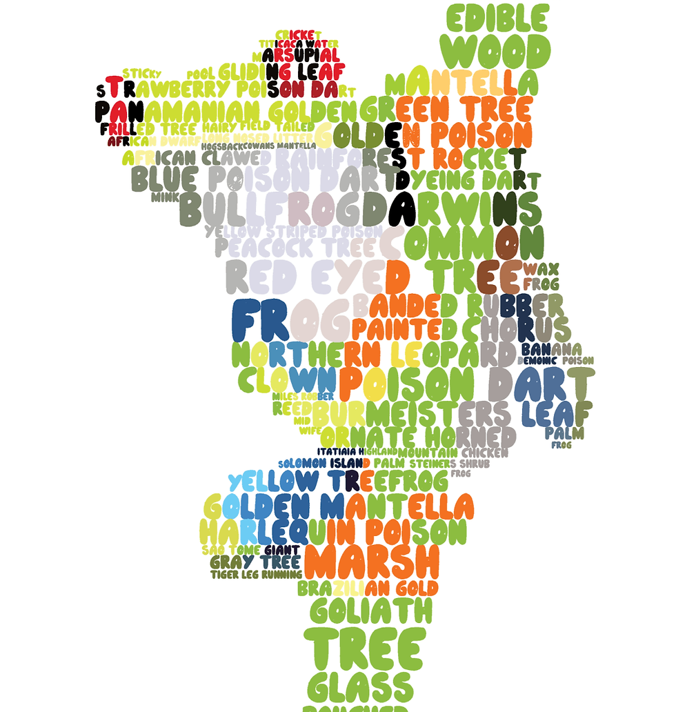 Thumbnail: Tree Frog Word Cloud Women's Scoop Neck Tshirt