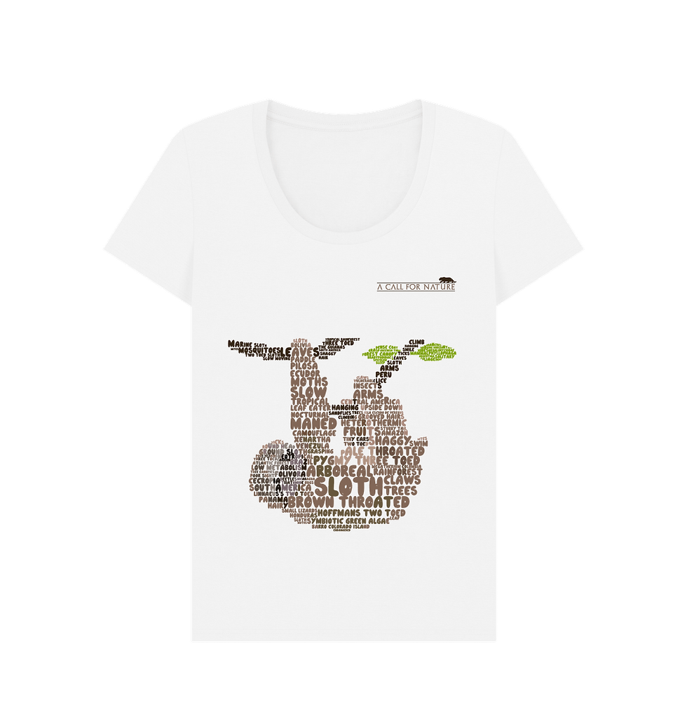 Sloth Word Cloud Women's Scoop Neck Tshirt