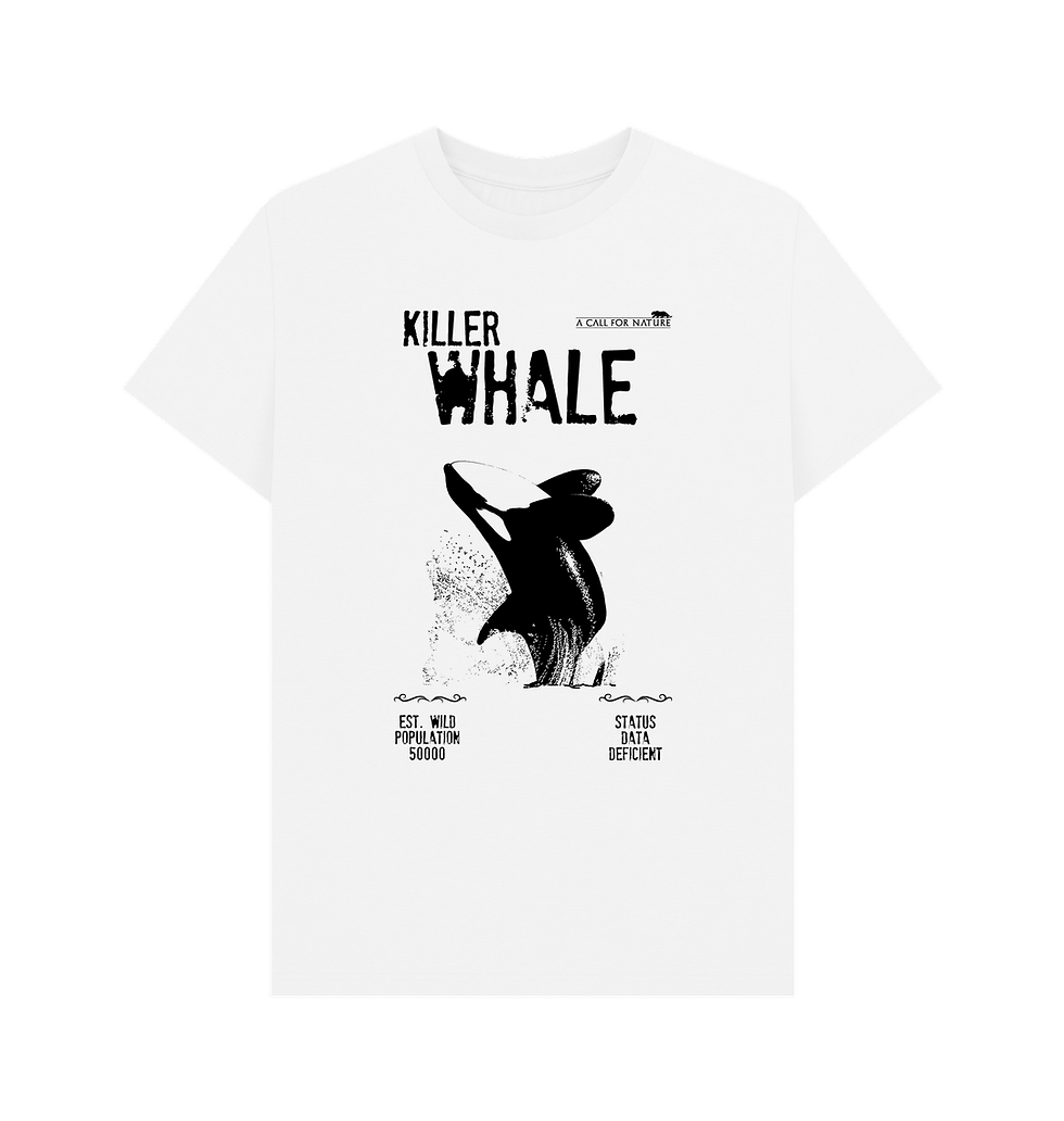 Thumbnail: Killer Whale IUCN Redlist Tshirt