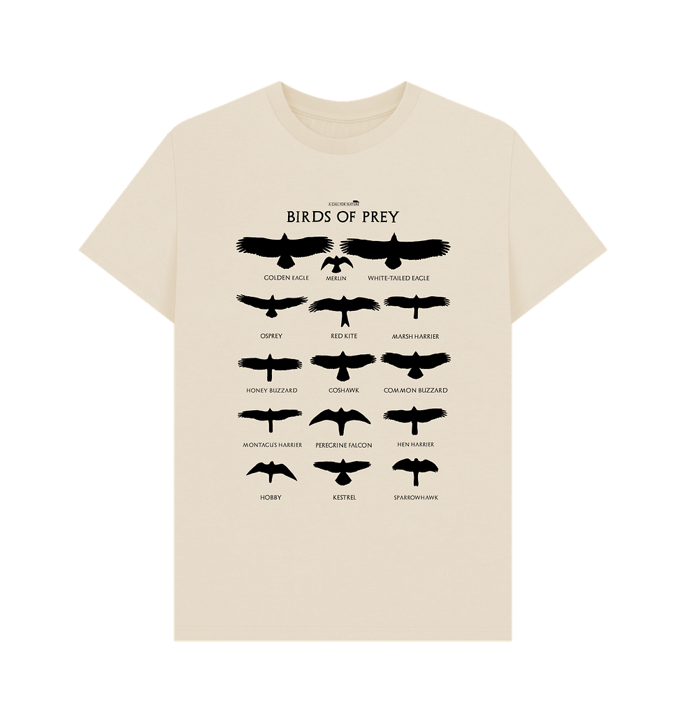 Thumbnail: Birds of Prey black print tshirt