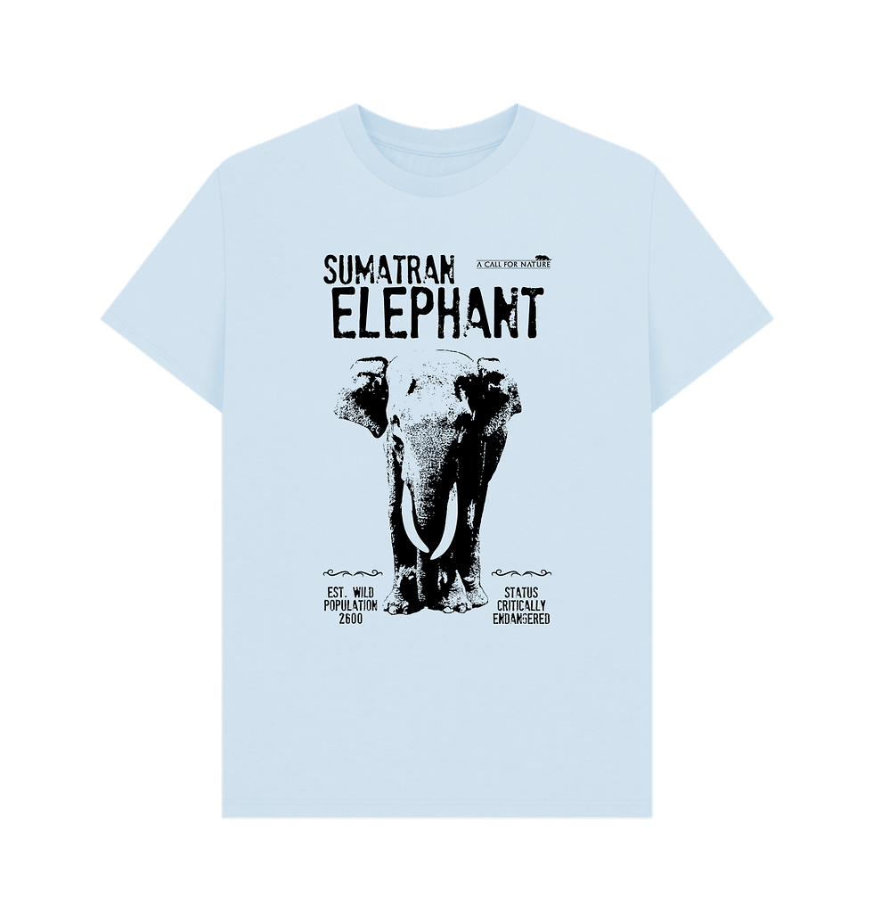 Thumbnail: Sumatran Elephant IUCN Redlist Tshirt