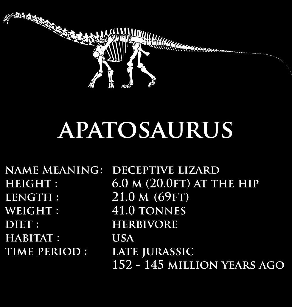 Thumbnail: Apatosaurus Skeleton Unisex Tshirt